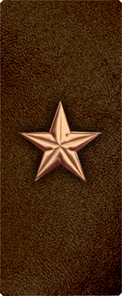 Star Copper-Brown